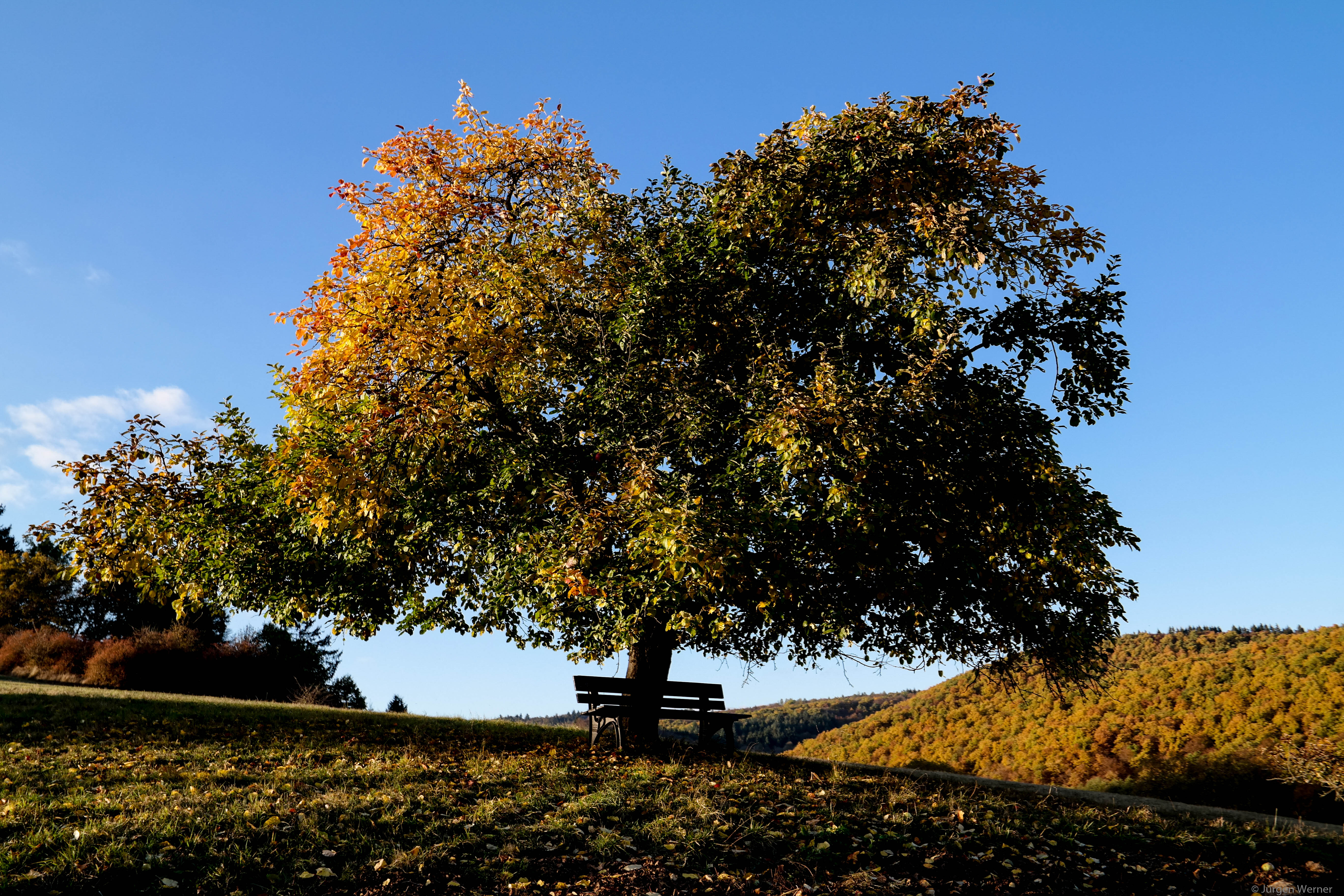 Fall