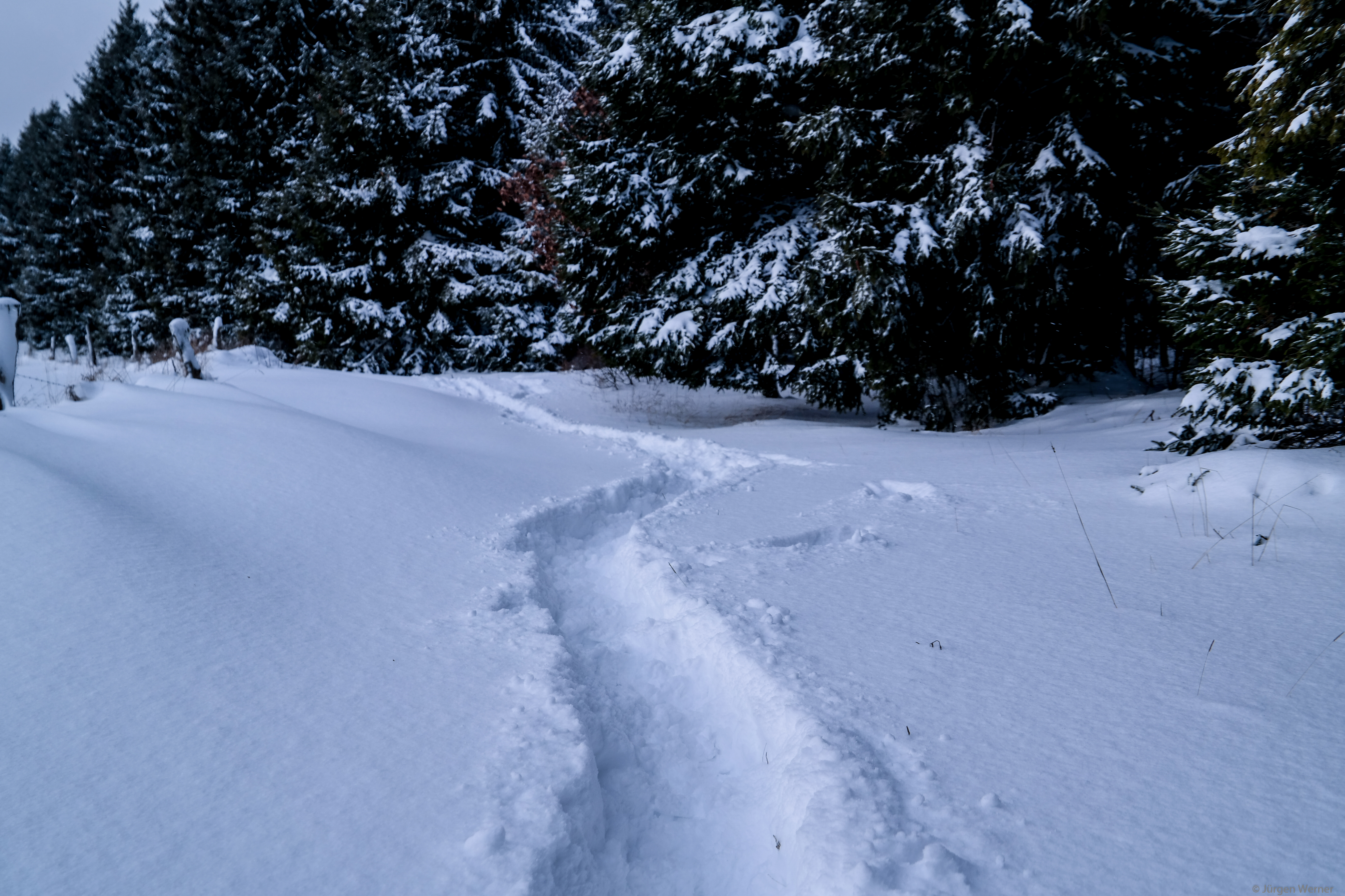 Winter